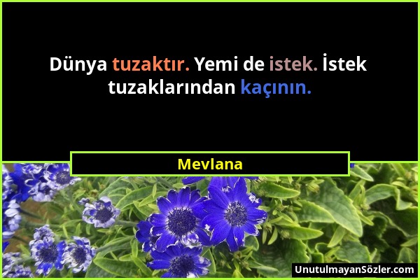 Mevlana - Dünya tuzaktır. Yemi de istek. İstek tuzaklarından kaçının....