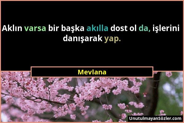 Mevlana - Aklın varsa bir başka akılla dost ol da, işlerini danışarak yap....