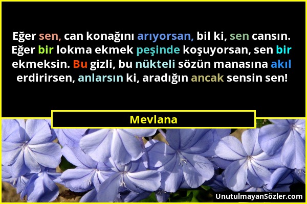 Mevlana - Eğer sen, can konağını arıyorsan, bil ki, sen cansın. Eğer bir lokma ekmek peşinde koşuyorsan, sen bir ekmeksin. Bu gizli, bu nükteli sözün...