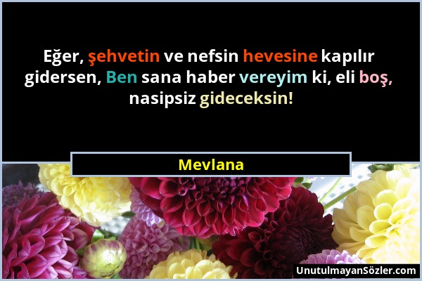 Mevlana - Eğer, şehvetin ve nefsin hevesine kapılır gidersen, Ben sana haber vereyim ki, eli boş, nasipsiz gideceksin!...