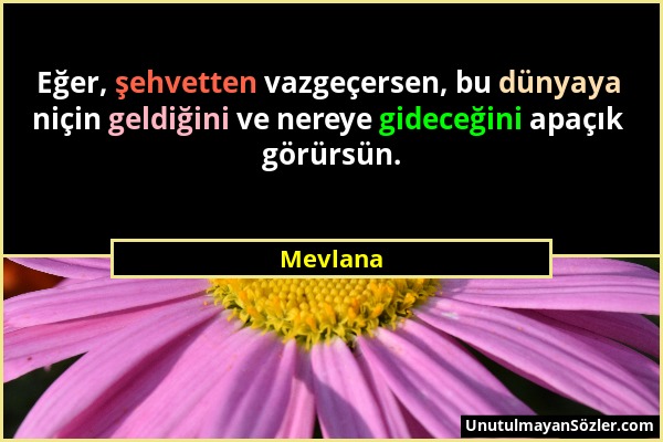 Mevlana - Eğer, şehvetten vazgeçersen, bu dünyaya niçin geldiğini ve nereye gideceğini apaçık görürsün....