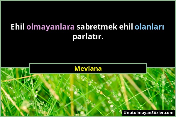 Mevlana - Ehil olmayanlara sabretmek ehil olanları parlatır....