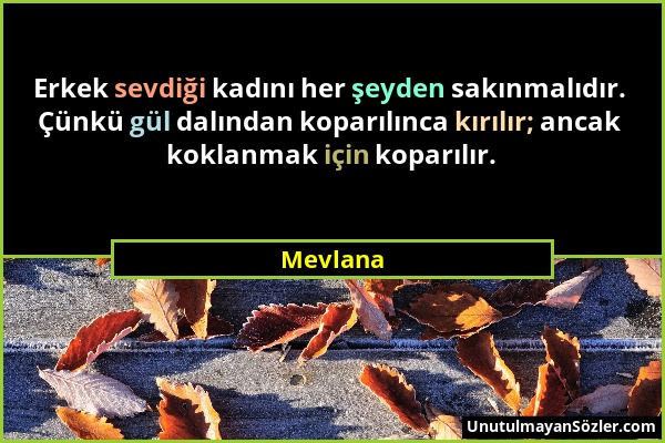 Mevlana - Erkek sevdiği kadını her şeyden sakınmalıdır. Çünkü gül dalından koparılınca kırılır; ancak koklanmak için koparılır....