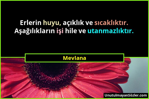 Mevlana - Erlerin huyu, açıklık ve sıcaklıktır. Aşağılıkların işi hile ve utanmazlıktır....