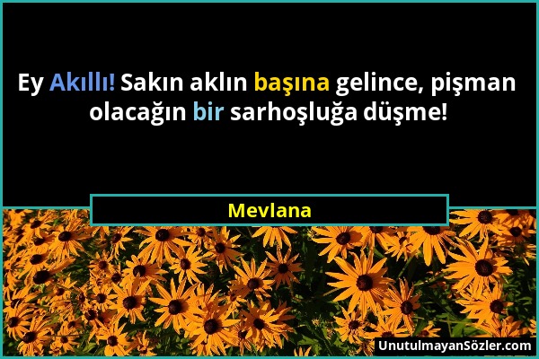 Mevlana - Ey Akıllı! Sakın aklın başına gelince, pişman olacağın bir sarhoşluğa düşme!...