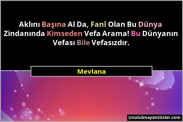 Mevlana - Aklını Başına Al Da, Fanî Olan Bu Dünya Zindanında Kimseden Vefa Arama! Bu Dünyanın Vefası Bile Vefasızdır....