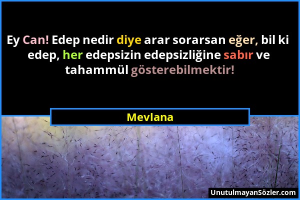 Mevlana - Ey Can! Edep nedir diye arar sorarsan eğer, bil ki edep, her edepsizin edepsizliğine sabır ve tahammül gösterebilmektir!...