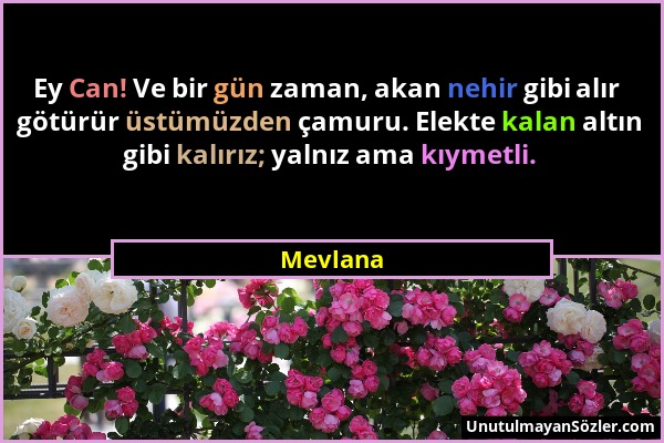 Mevlana - Ey Can! Ve bir gün zaman, akan nehir gibi alır götürür üstümüzden çamuru. Elekte kalan altın gibi kalırız; yalnız ama kıymetli....