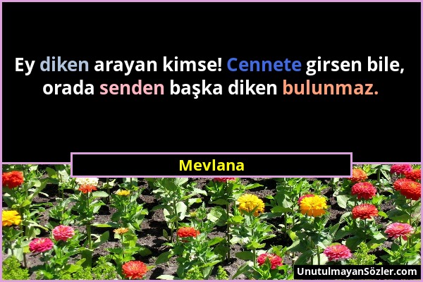 Mevlana - Ey diken arayan kimse! Cennete girsen bile, orada senden başka diken bulunmaz....