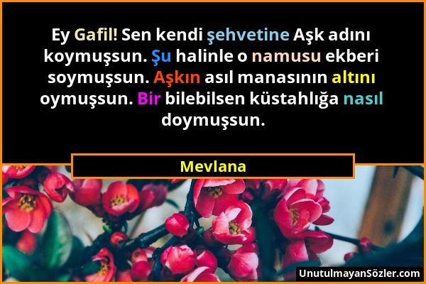 Mevlana - Ey Gafil! Sen kendi şehvetine Aşk adını koymuşsun. Şu halinle o namusu ekberi soymuşsun. Aşkın asıl manasının altını oymuşsun. Bir bilebilse...