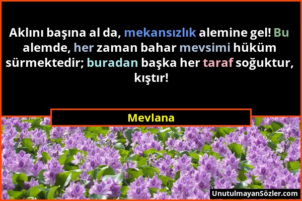 Mevlana - Aklını başına al da, mekansızlık alemine gel! Bu alemde, her zaman bahar mevsimi hüküm sürmektedir; buradan başka her taraf soğuktur, kıştır...