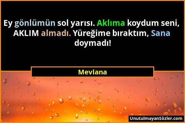Mevlana - Ey gönlümün sol yarısı. Aklıma koydum seni, AKLIM almadı. Yüreğime bıraktım, Sana doymadı!...