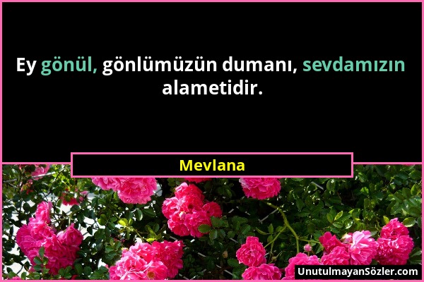 Mevlana - Ey gönül, gönlümüzün dumanı, sevdamızın alametidir....