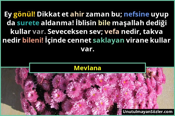 Mevlana - Ey gönül! Dikkat et ahir zaman bu; nefsine uyup da surete aldanma! İblisin bile maşallah dediği kullar var. Seveceksen sev; vefa nedir, takv...