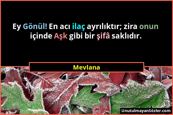 Mevlana - Ey Gönül! En acı ilaç ayrılıktır; zira onun içinde Aşk gibi bir şifâ saklıdır....