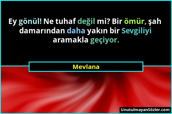 Mevlana - Ey gönül! Ne tuhaf değil mi? Bir ömür, şah damarından daha yakın bir Sevgiliyi aramakla geçiyor....