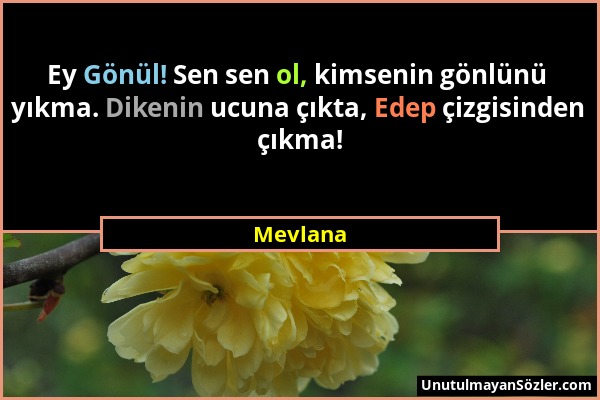 Mevlana - Ey Gönül! Sen sen ol, kimsenin gönlünü yıkma. Dikenin ucuna çıkta, Edep çizgisinden çıkma!...