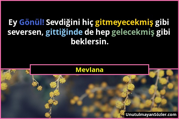 Mevlana - Ey Gönül! Sevdiğini hiç gitmeyecekmiş gibi seversen, gittiğinde de hep gelecekmiş gibi beklersin....