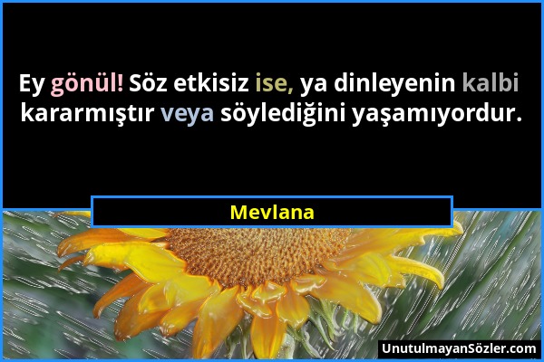 Mevlana - Ey gönül! Söz etkisiz ise, ya dinleyenin kalbi kararmıştır veya söylediğini yaşamıyordur....