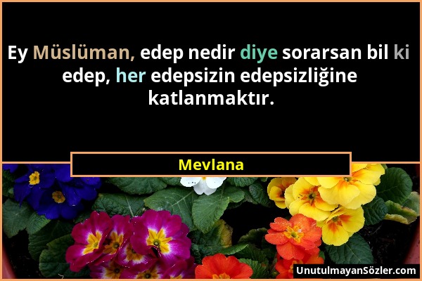 Mevlana - Ey Müslüman, edep nedir diye sorarsan bil ki edep, her edepsizin edepsizliğine katlanmaktır....