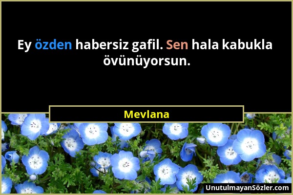 Mevlana - Ey özden habersiz gafil. Sen hala kabukla övünüyorsun....
