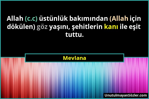 Mevlana - Allah (c.c) üstünlük bakımından (Allah için dökülen) göz yaşını, şehitlerin kanı ile eşit tuttu....