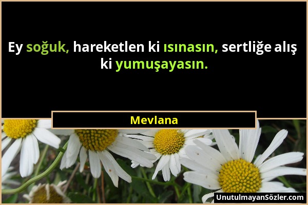 Mevlana - Ey soğuk, hareketlen ki ısınasın, sertliğe alış ki yumuşayasın....