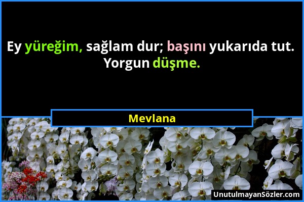 Mevlana - Ey yüreğim, sağlam dur; başını yukarıda tut. Yorgun düşme....