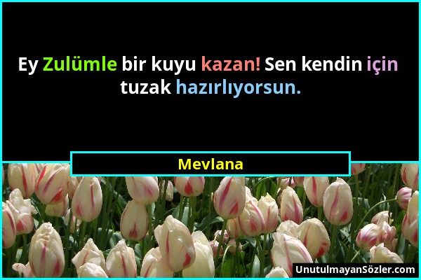 Mevlana - Ey Zulümle bir kuyu kazan! Sen kendin için tuzak hazırlıyorsun....