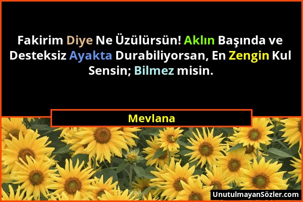 Mevlana - Fakirim Diye Ne Üzülürsün! Aklın Başında ve Desteksiz Ayakta Durabiliyorsan, En Zengin Kul Sensin; Bilmez misin....