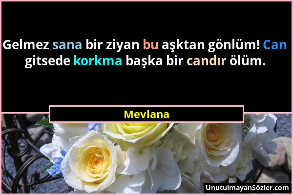 Mevlana - Gelmez sana bir ziyan bu aşktan gönlüm! Can gitsede korkma başka bir candır ölüm....