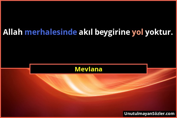 Mevlana - Allah merhalesinde akıl beygirine yol yoktur....