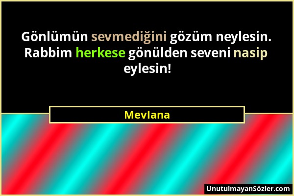 Mevlana - Gönlümün sevmediğini gözüm neylesin. Rabbim herkese gönülden seveni nasip eylesin!...