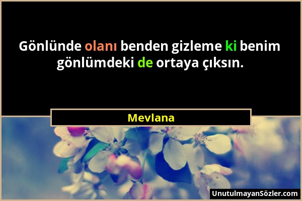 Mevlana - Gönlünde olanı benden gizleme ki benim gönlümdeki de ortaya çıksın....