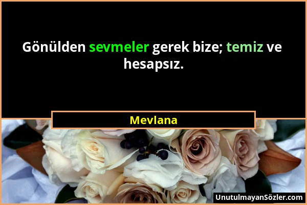 Mevlana - Gönülden sevmeler gerek bize; temiz ve hesapsız....
