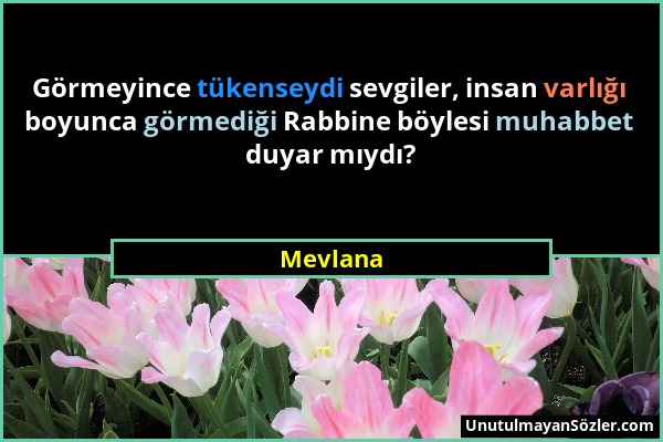 Mevlana - Görmeyince tükenseydi sevgiler, insan varlığı boyunca görmediği Rabbine böylesi muhabbet duyar mıydı?...