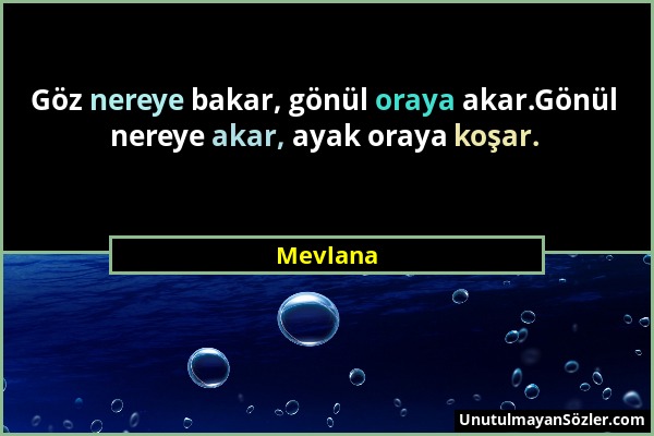 Mevlana - Göz nereye bakar, gönül oraya akar.Gönül nereye akar, ayak oraya koşar....