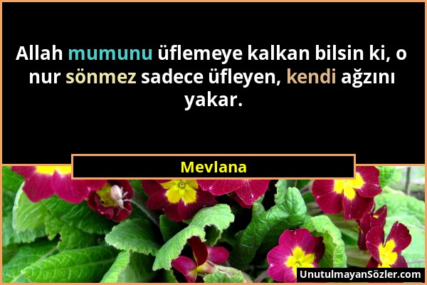 Mevlana - Allah mumunu üflemeye kalkan bilsin ki, o nur sönmez sadece üfleyen, kendi ağzını yakar....