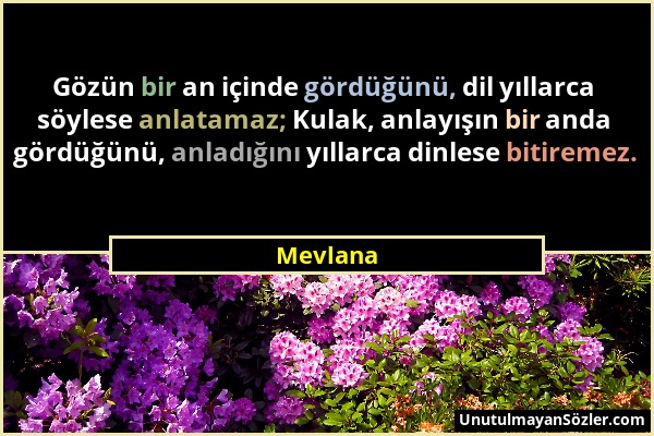 Mevlana - Gözün bir an içinde gördüğünü, dil yıllarca söylese anlatamaz; Kulak, anlayışın bir anda gördüğünü, anladığını yıllarca dinlese bitiremez....