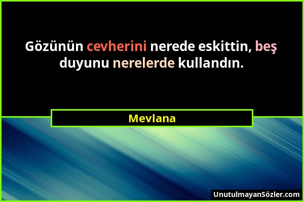 Mevlana - Gözünün cevherini nerede eskittin, beş duyunu nerelerde kullandın....