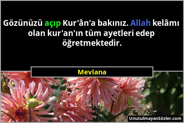 Mevlana - Gözünüzü açıp Kur'ân'a bakınız. Allah kelâmı olan kur'an'ın tüm ayetleri edep öğretmektedir....