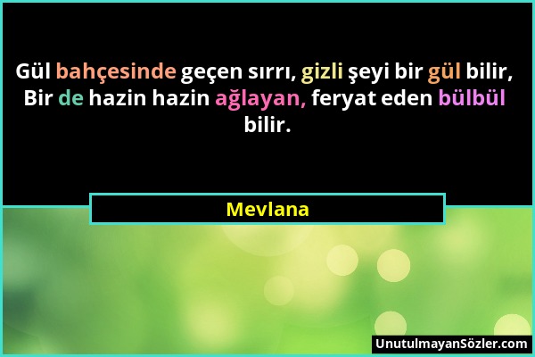 Mevlana - Gül bahçesinde geçen sırrı, gizli şeyi bir gül bilir, Bir de hazin hazin ağlayan, feryat eden bülbül bilir....