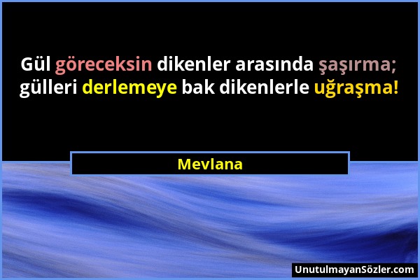 Mevlana - Gül göreceksin dikenler arasında şaşırma; gülleri derlemeye bak dikenlerle uğraşma!...