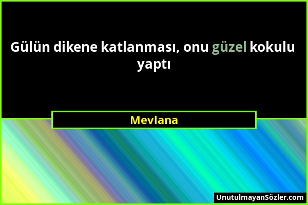 Mevlana - Gülün dikene katlanması, onu güzel kokulu yaptı...