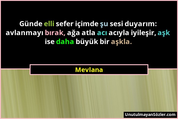 Mevlana - Günde elli sefer içimde şu sesi duyarım: avlanmayı bırak, ağa atla acı acıyla iyileşir, aşk ise daha büyük bir aşkla....
