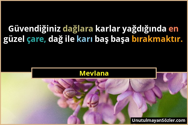 Mevlana - Güvendiğiniz dağlara karlar yağdığında en güzel çare, dağ ile karı baş başa bırakmaktır....