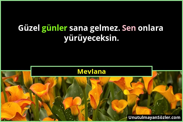 Mevlana - Güzel günler sana gelmez. Sen onlara yürüyeceksin....