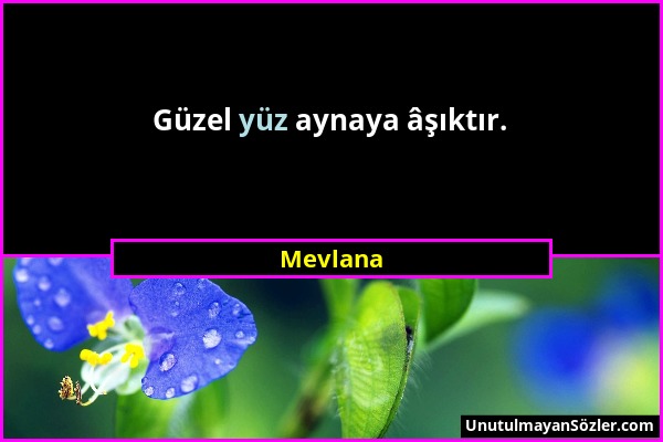 Mevlana - Güzel yüz aynaya âşıktır....