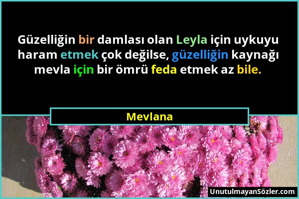 Mevlana - Güzelliğin bir damlası olan Leyla için uykuyu haram etmek çok değilse, güzelliğin kaynağı mevla için bir ömrü feda etmek az bile....