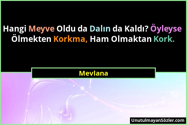 Mevlana - Hangi Meyve Oldu da Dalın da Kaldı? Öyleyse Ölmekten Korkma, Ham Olmaktan Kork....